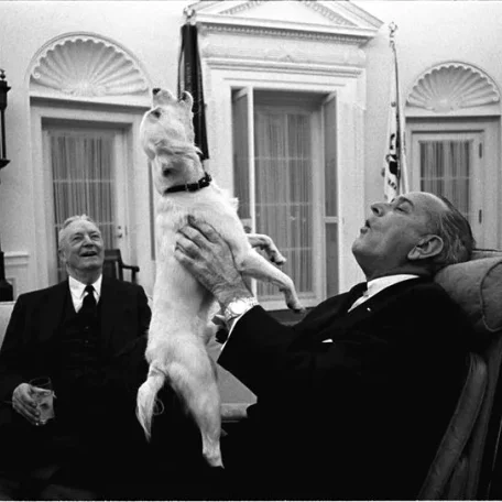 Our U.S. Presidents and some their Pets