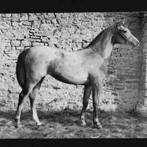 Kazra el Saghira