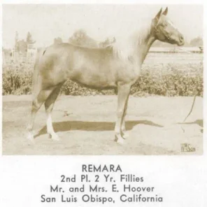 Remara