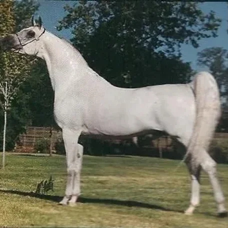 Remington Steele++