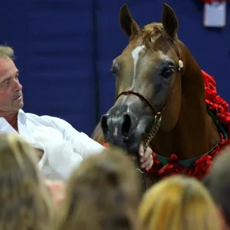 The very beautiful National Champion...Trussardi!