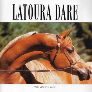 LATOURA DARE