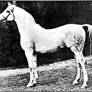 RAKTHA
