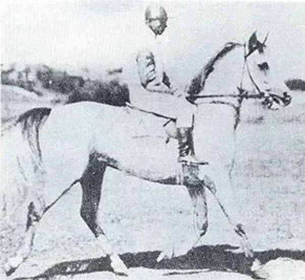 KONFEDERACJA