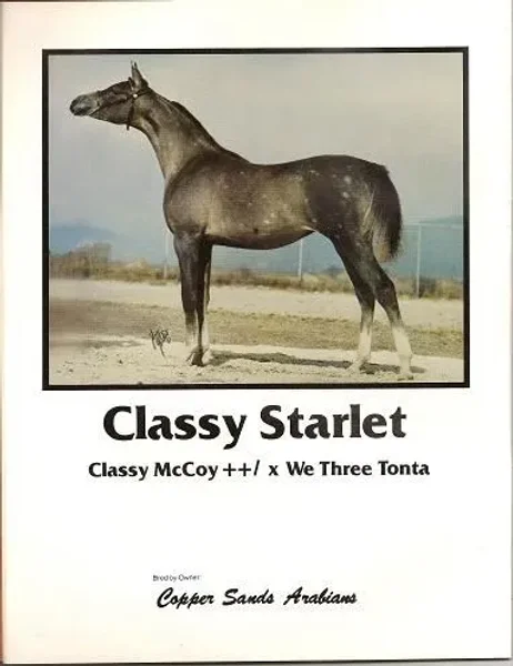 CLASSY MCCOY