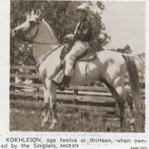 Kokhleson