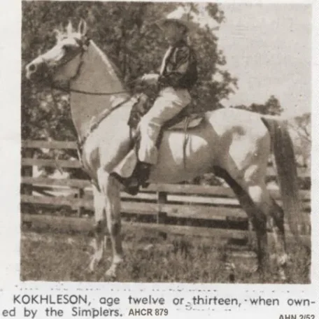Kokhleson