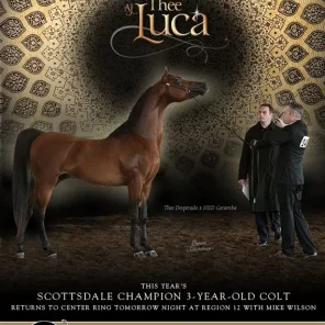 AJ Thee Luca