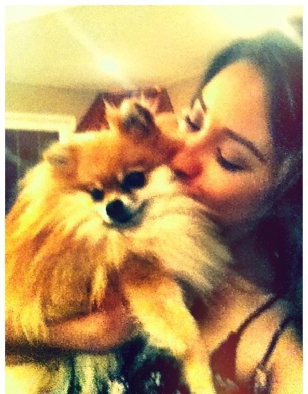 Pretty Little Liars Case and their Pets