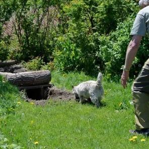 Earthdog Test