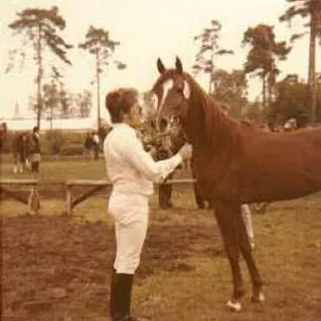 Shaker el Masri (Morafic x Zebeda)