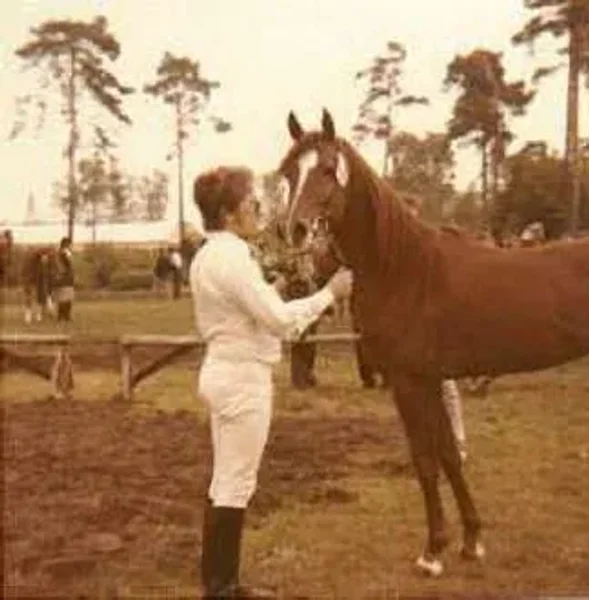 Shaker el Masri (Morafic x Zebeda)