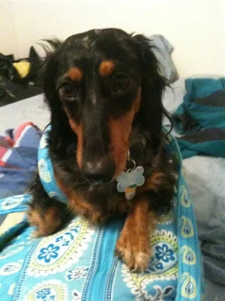 Rudy
