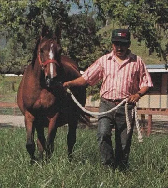 Alegoria