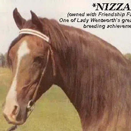 *NIZZAM