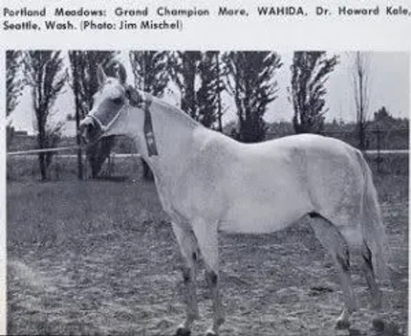 Wahida