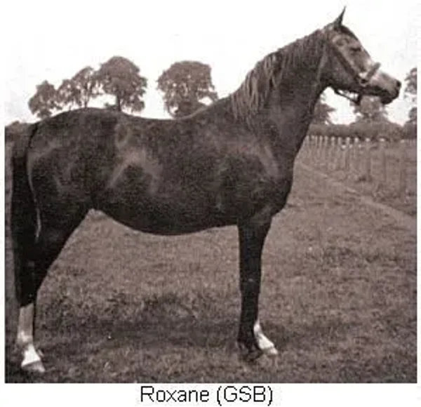 Roxana