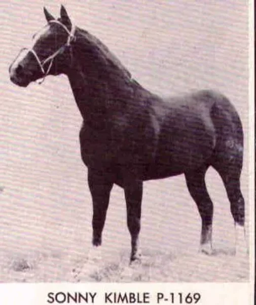 Sonny Kimble