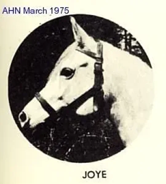 JOYE