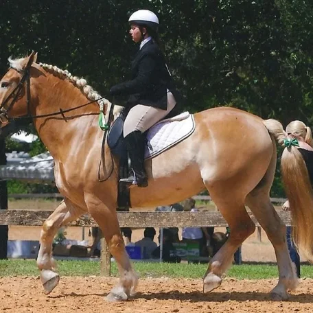 me and poncho in 2012