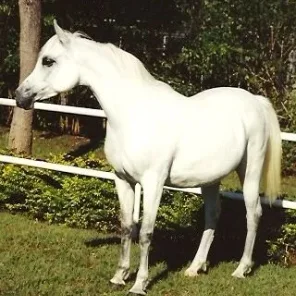 CM Georgia