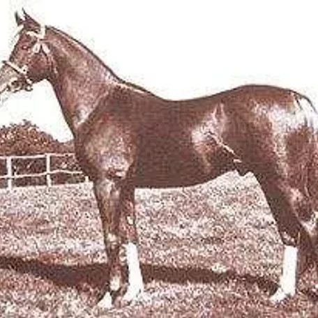 RISSALIX
