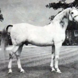 RAKTHA