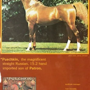 Puschkin