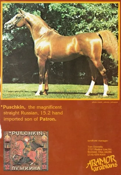 Puschkin