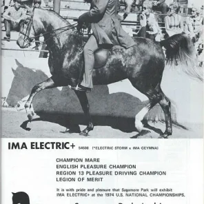 Ima Electric+++