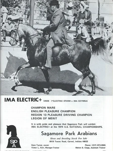 Ima Electric+++