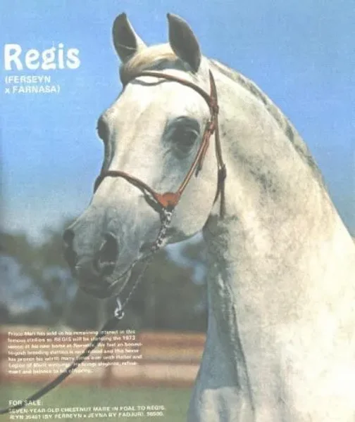 Regis