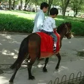 Chinese Guoxia