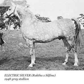 Electric Silver