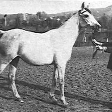 NEPRIADWA