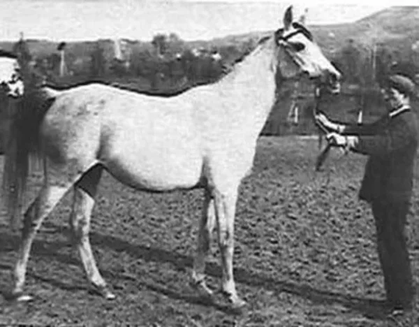 NEPRIADWA