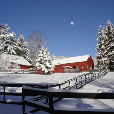 Covered Bridges and Winter Barns