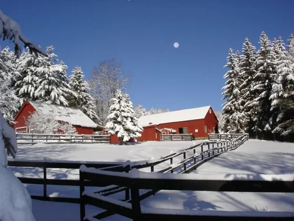 Covered Bridges and Winter Barns
