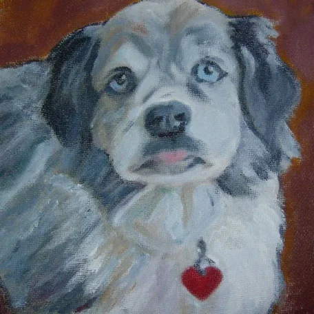Sweet Blue eyed Baubles lived in California and was the beloved pet of a young boy.