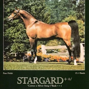 Stargard
