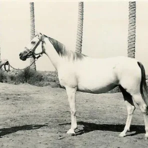 ANSATA BINT Sameh
