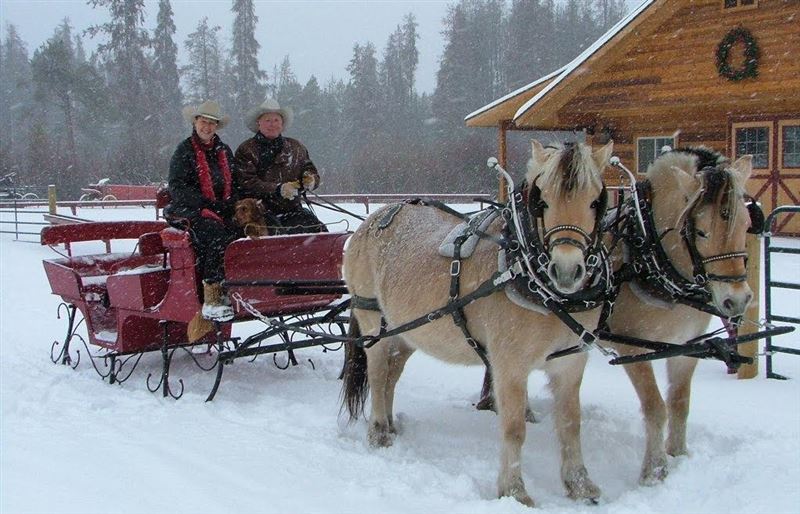 Sleighs in Winter