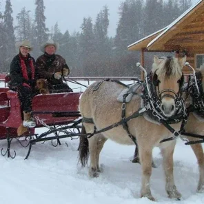 Sleighs in Winter