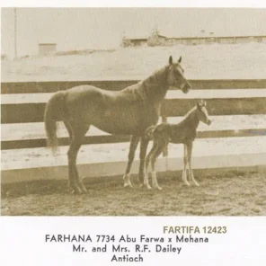 FARHANA