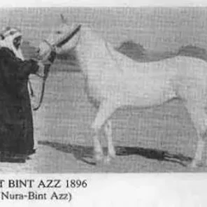 Bint Bint Azz