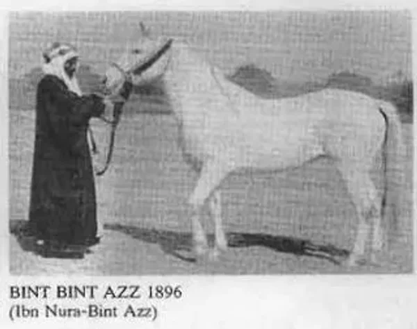 Bint Bint Azz