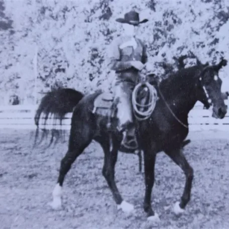 Shereyn (Raseyn x Sherlet) bay stallion, foaled May 14, 1932
bred by W.K. Kellogg Institute