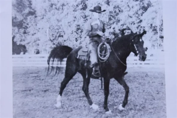 Shereyn (Raseyn x Sherlet) bay stallion, foaled May 14, 1932
bred by W.K. Kellogg Institute