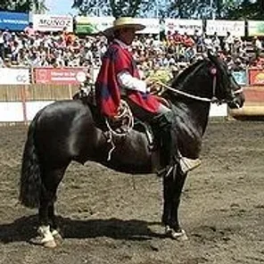 Chilean
