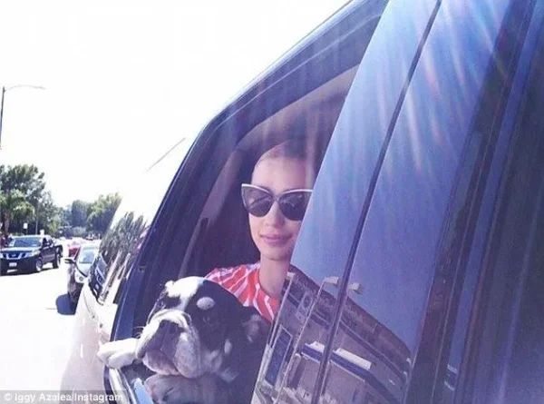 Iggy Azalea's New Puppy Has The Most Unique Name Ever